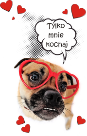 Tylko mnie kochaj