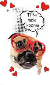 Tylko mnie kochaj