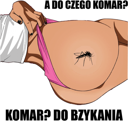 Komar do bzykania