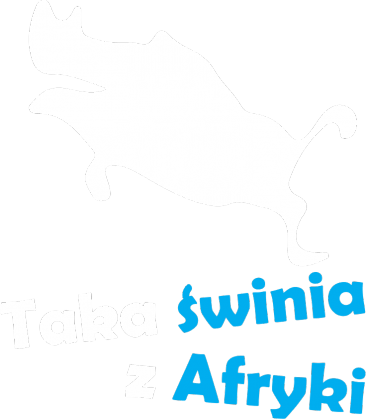 GUZIEC, taka świnia z Afryki