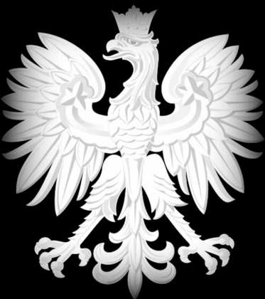 Bluza męska, nadruk dwustronny