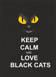 love black cats