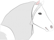 Koszulka Pony