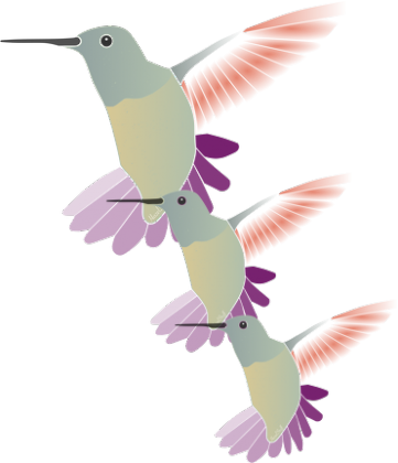 Koliber body