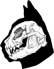 Cat Skull