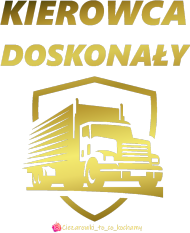 Koszulka Kierowca Doskonały #1