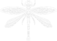 White dragonfly