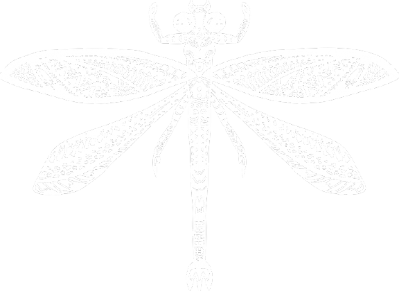 White dragonfly