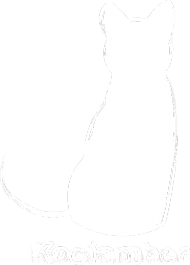 Kociamber - poznański kot