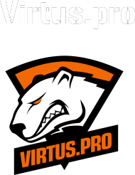 Bluzka Virtus.pro