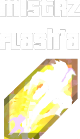 Mistrz Flash'a