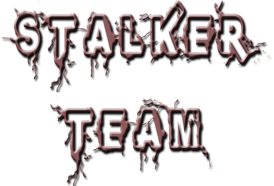 Koszulka Stalker Team