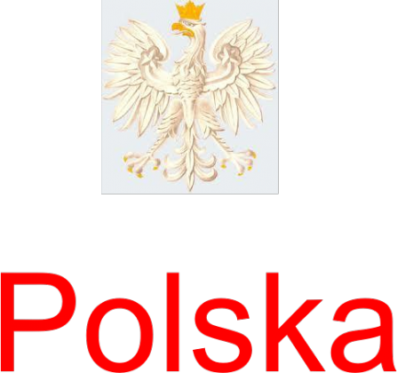koszula polaka