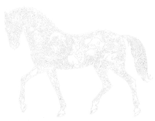 Baśniowy koń