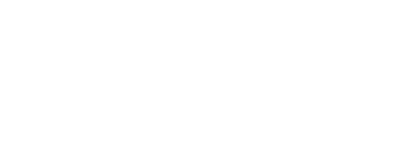 Allien Force