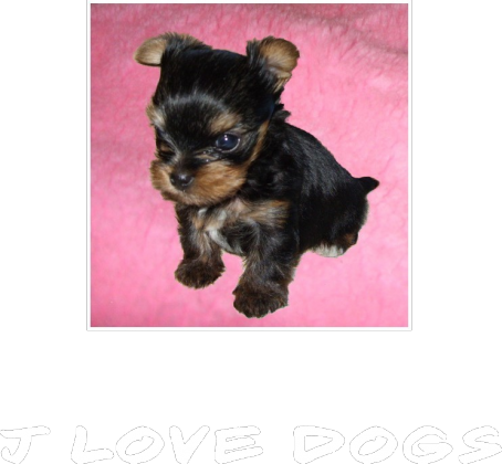 j love dogs