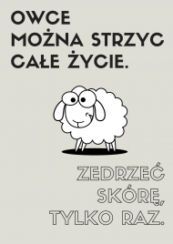 Plakat A3 - Owce można strzyc całe życie...