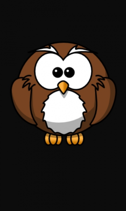 Bluzka Owl