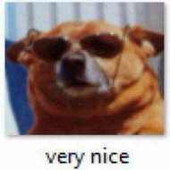 Very nice doggo (rare)