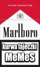 Kurwa Fajeczki Memes tee