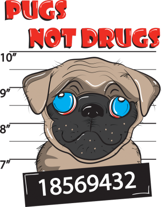 Pugs Not Drugs