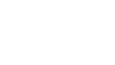 ZiglerGTV Bluza