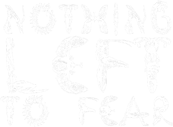 Koszulka "nothing left to fear"