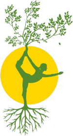 Joga. Prezent dla Joga. Ćwiczę Jogę. Jak zacząć uprawiać Jogę ?