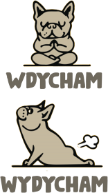 Joga. Prezent dla Joga. Ćwiczę Jogę. Jak zacząć uprawiać Jogę ?