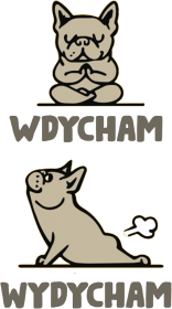 Joga. Prezent dla Joga. Ćwiczę Jogę. Jak zacząć uprawiać Jogę ?