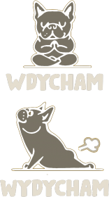 Joga. Prezent dla Joga. Ćwiczę Jogę. Jak zacząć uprawiać Jogę ?