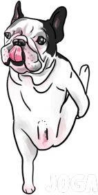 Joga. Prezent dla Joga. Ćwiczę Jogę. Jak zacząć uprawiać Jogę ?