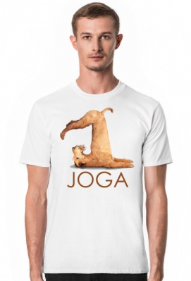 Joga. Prezent dla Joga. Ćwiczę Jogę. Jak zacząć uprawiać Jogę ? - Joga