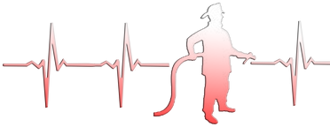 Body strażackie