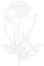 Kwiat maku - bluza czarna