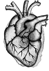 Serce anatomiczne szare - kubek