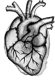 Serce anatomiczne szare - torba