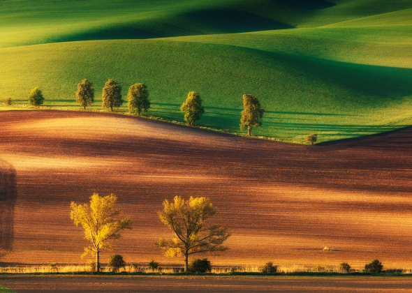 Morawy Południowe-Plakat