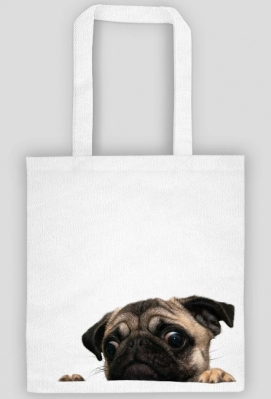 Mops Puga Pug - Kaktusowa Fabryka