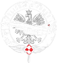 Kubek czarny Polish Airforce F16