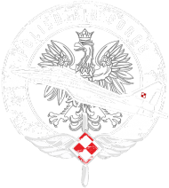 Kubek czarny Polish Airforce Mig29