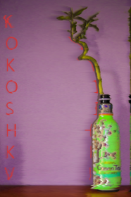 KOKOSHKV - Arizona