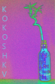 KOKOSHKV - Arizona Purple