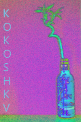 KOKOSHKV - Arizona Purple