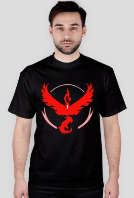 Pokemon Go - Team Valor - Rynn Rysuje 