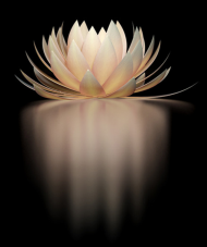 Torba kwiat lotosu