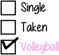 Single, taken, volleyball