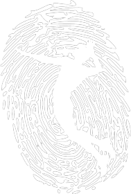 Fingerprint Volley