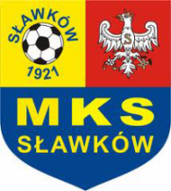 Bluza z Kapturem MKS Sławków