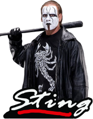 Koszulka "The Icon Sting"